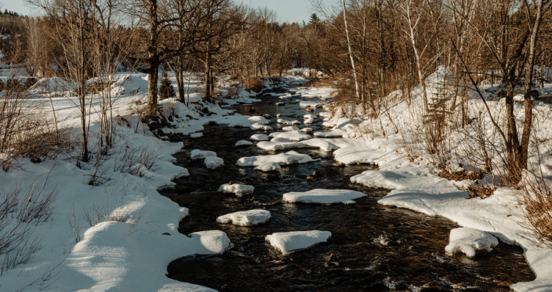 Untitled design - 11