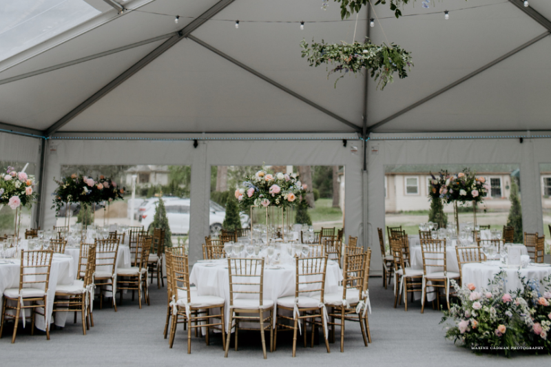 Maxine Cadman Photography (864 × 576 px) - 16