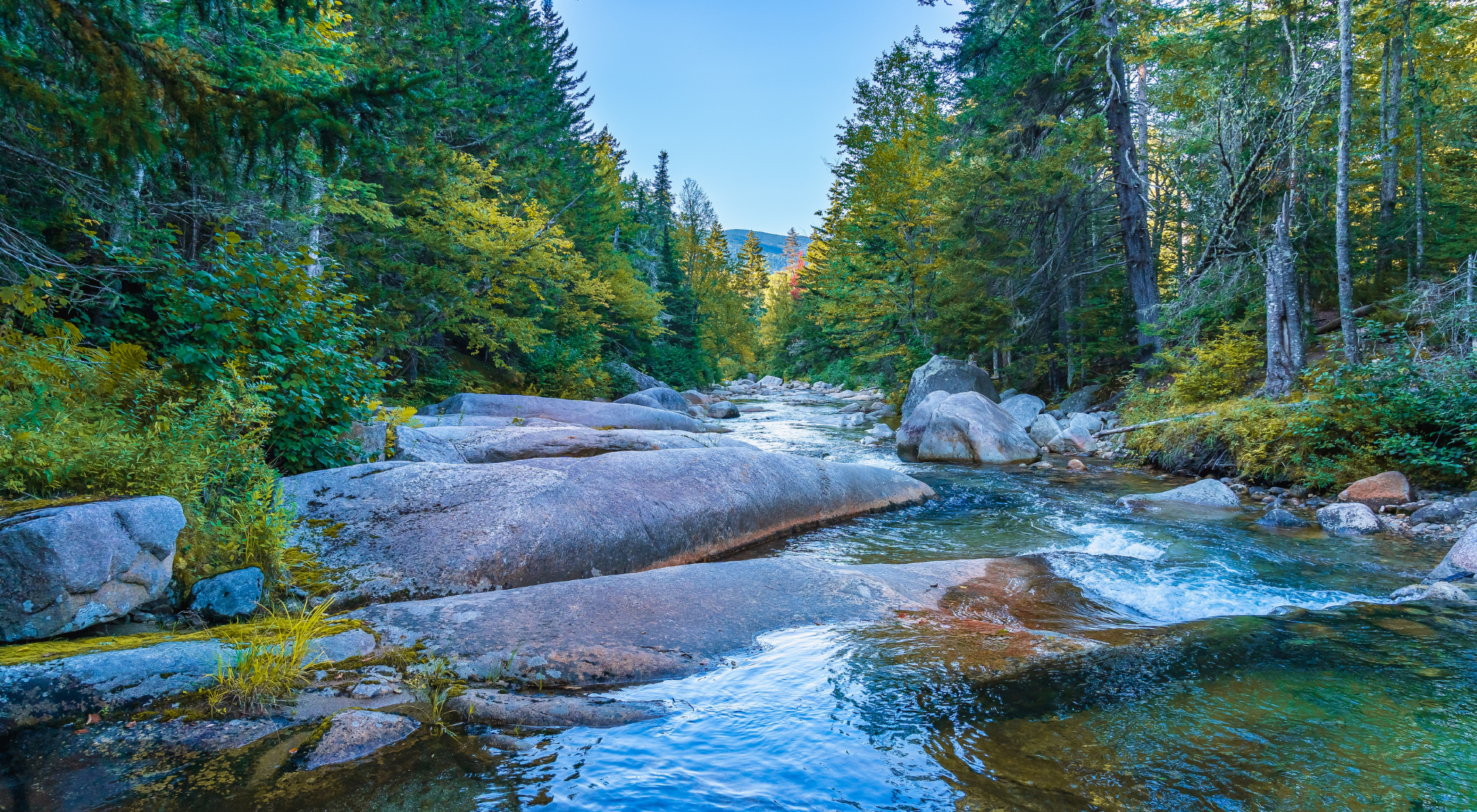 Running Stream and woods in Jackson, NH