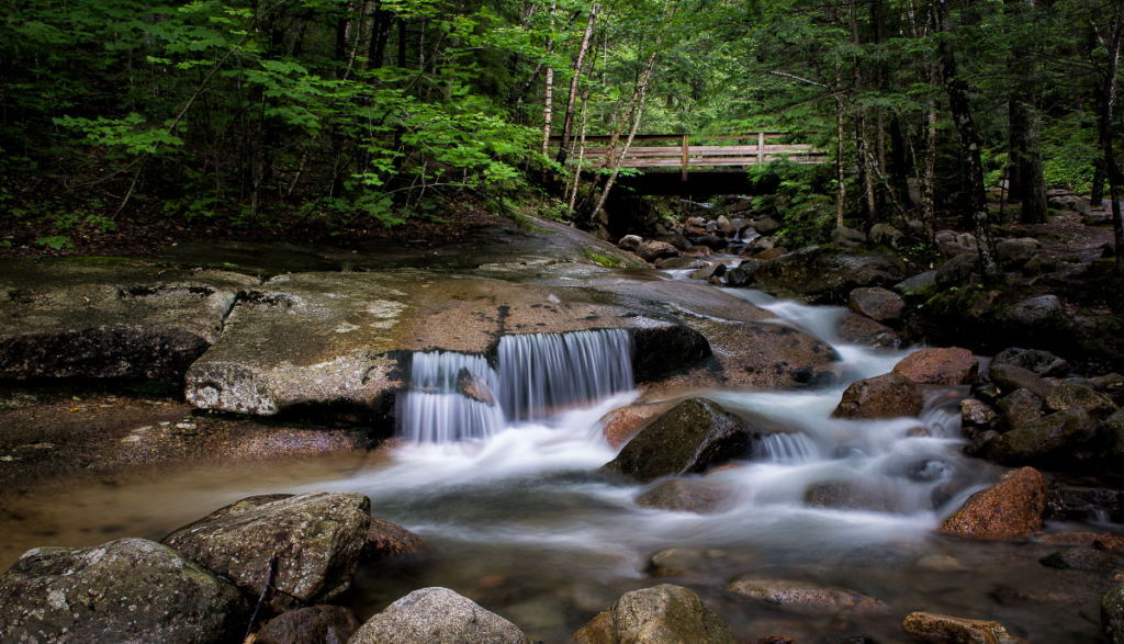 A small waterfall flows through a rocky stream in a forest.