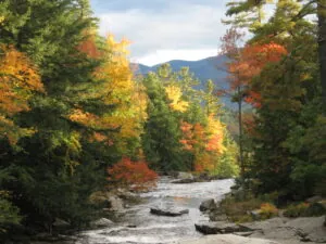 Jackson Falls, October 2009